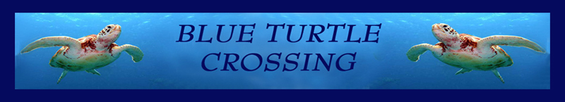 Blue Turtle Banner